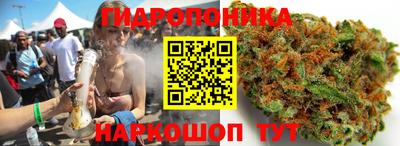мяу мяу мука Аша